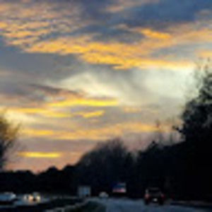 Meet your Posher, Desi